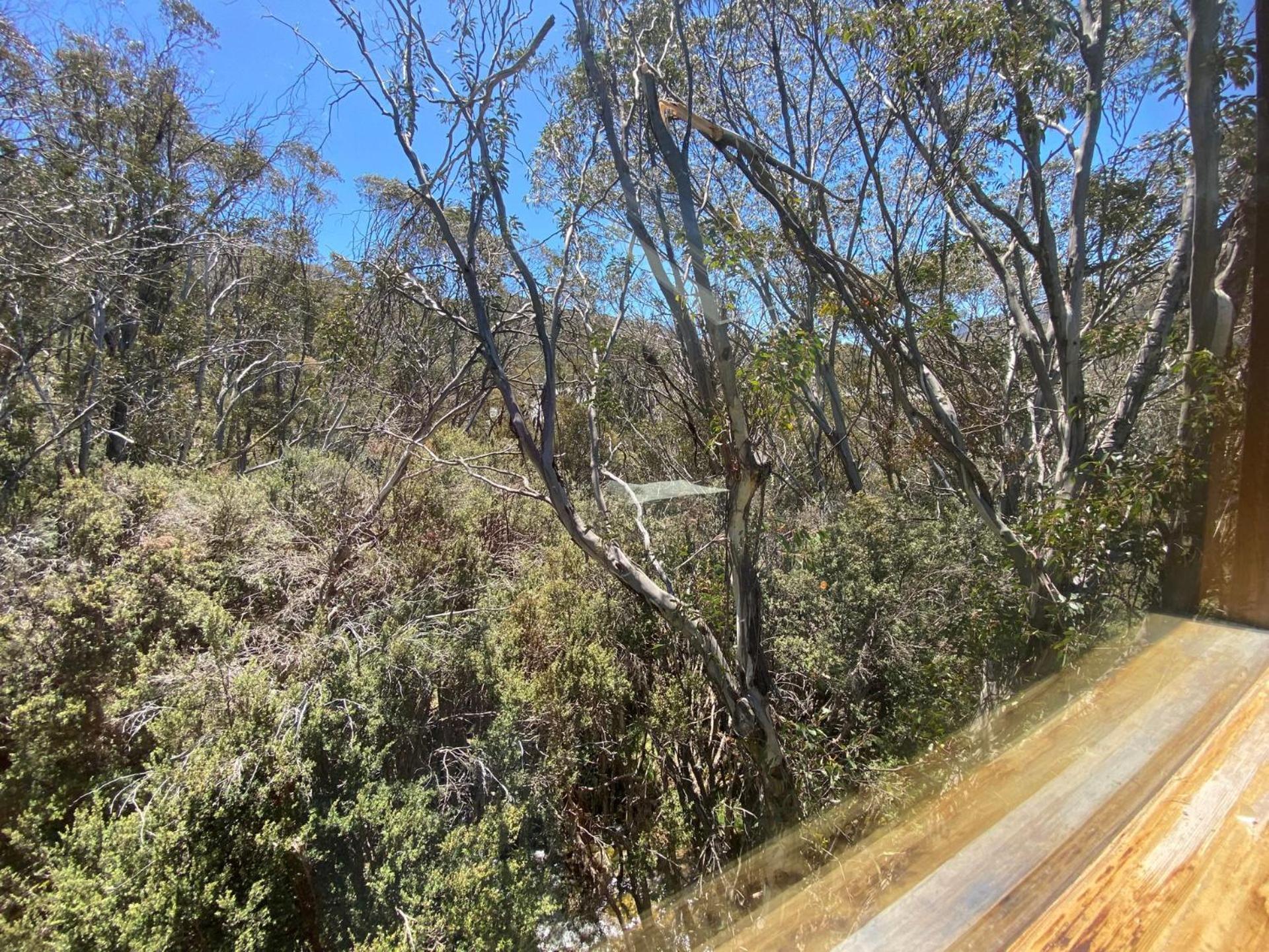 Ramshead Creek 3 - Thredbo Apartment Exterior photo